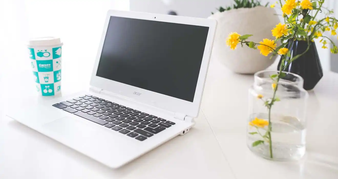 Ремонт ноутбуков Acer в Петергофе