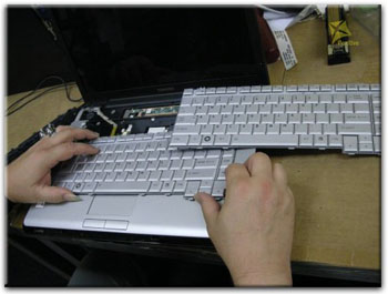 Ремонт клавиатуры ноутбука в Петергофе