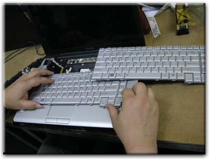 Ремонт клавиатуры на ноутбуке Toshiba в Петергофе